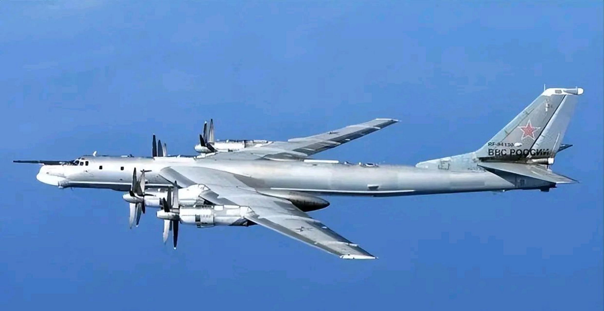 白天鹅轰炸机数量图片