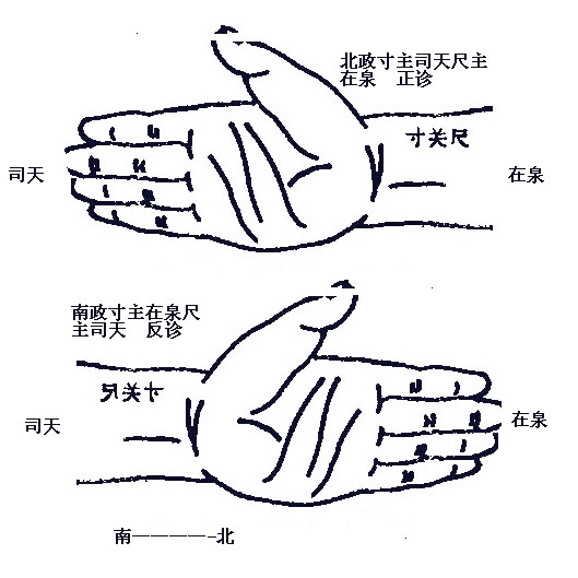 反关脉 斜飞脉图片