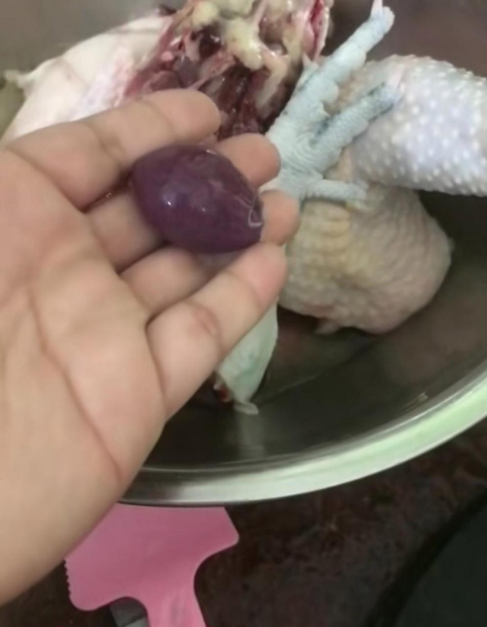 鸡忘记,小时候就听老人说不能吃,吃了记性会变差记事容易忘记!