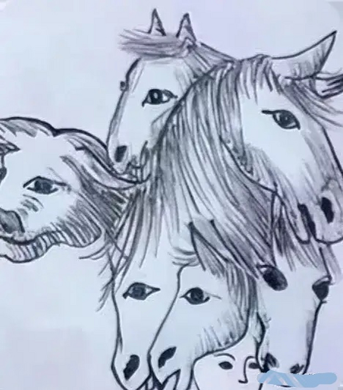 心理测试:考试眼力,看看图中有几张人脸,看看你测试出眼光准不准?