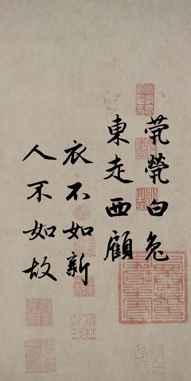 茕茕白兔  东走西顾 衣不如新  人不如故