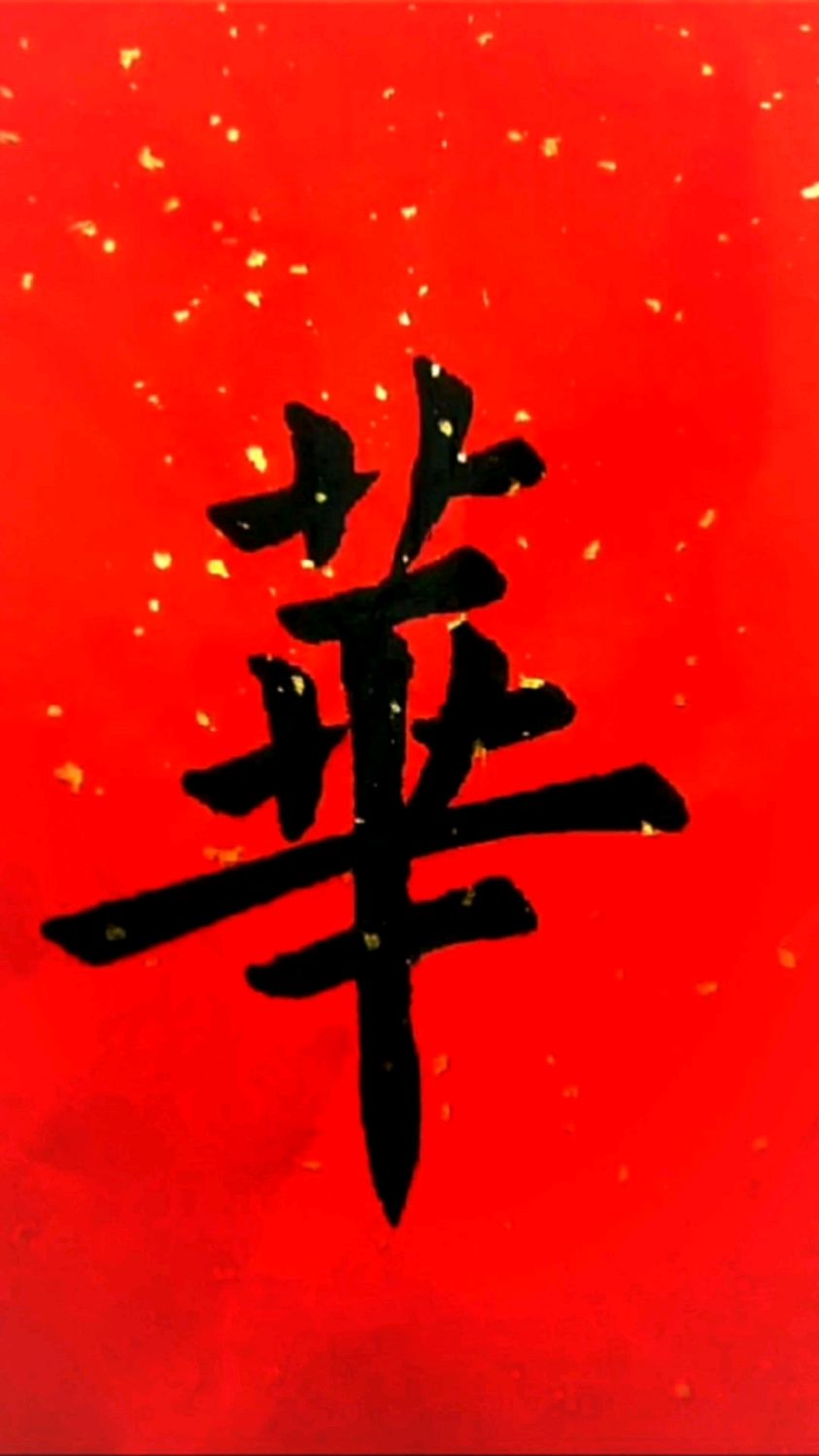 何其有幸,生于华夏,待我有为,必报中华.杜君佩书法原创