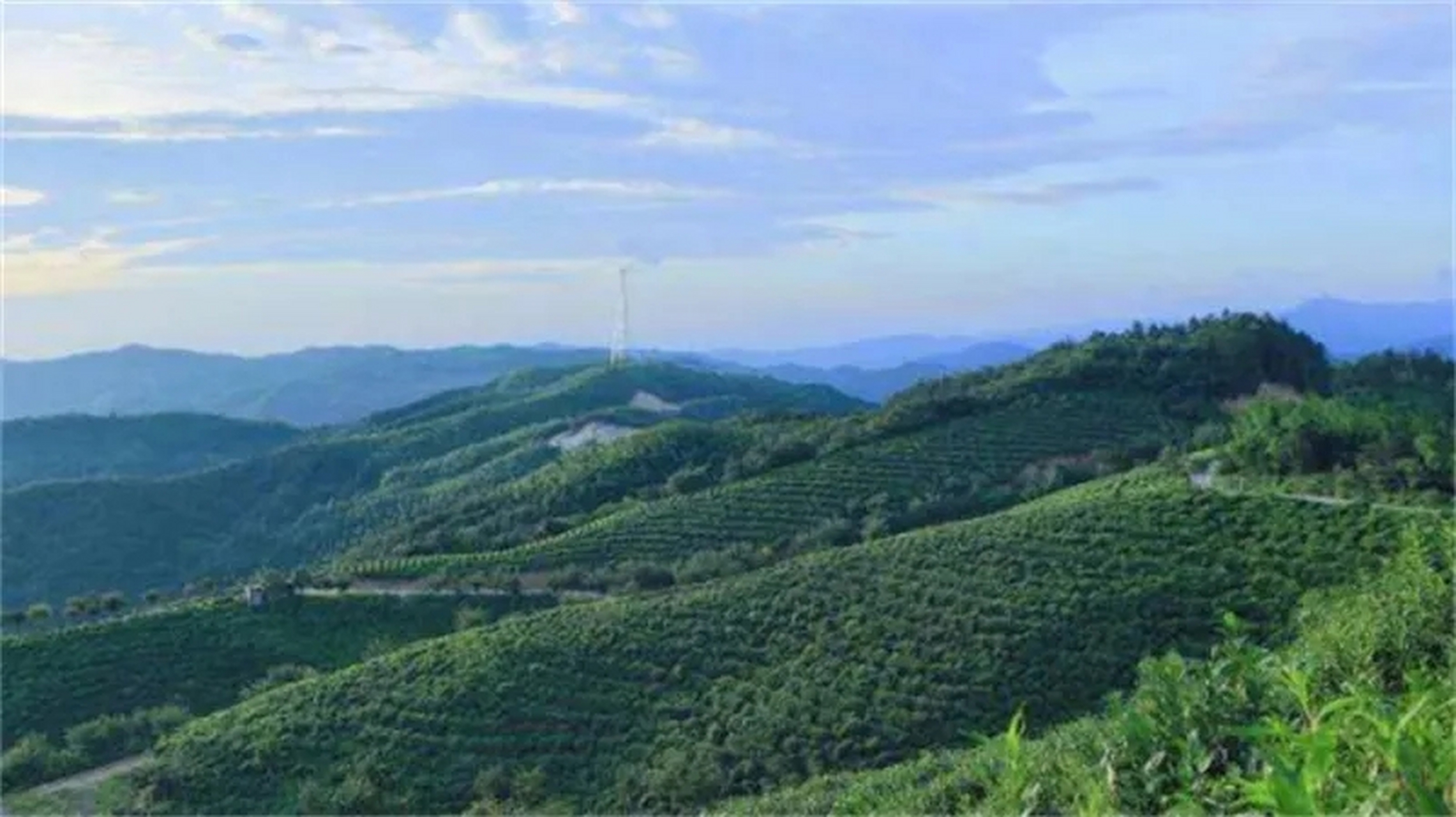 宝藏创作者计划# 天云山位于信阳市浉河区董家河镇塔耳湾村,山势陡峭