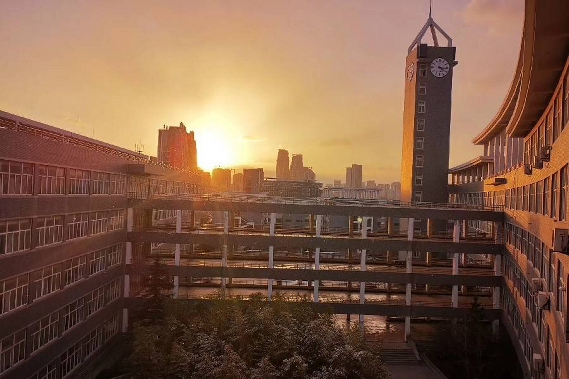 志存高远,脚踏实地.埋头苦读,只为将来高昂地抬起.