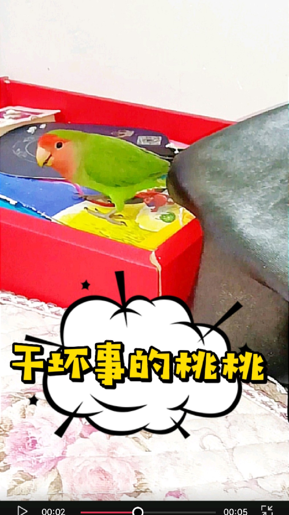 看看干坏事的桃桃做贼心虚的样子,原来小霸王也有害怕的人,真是一物降