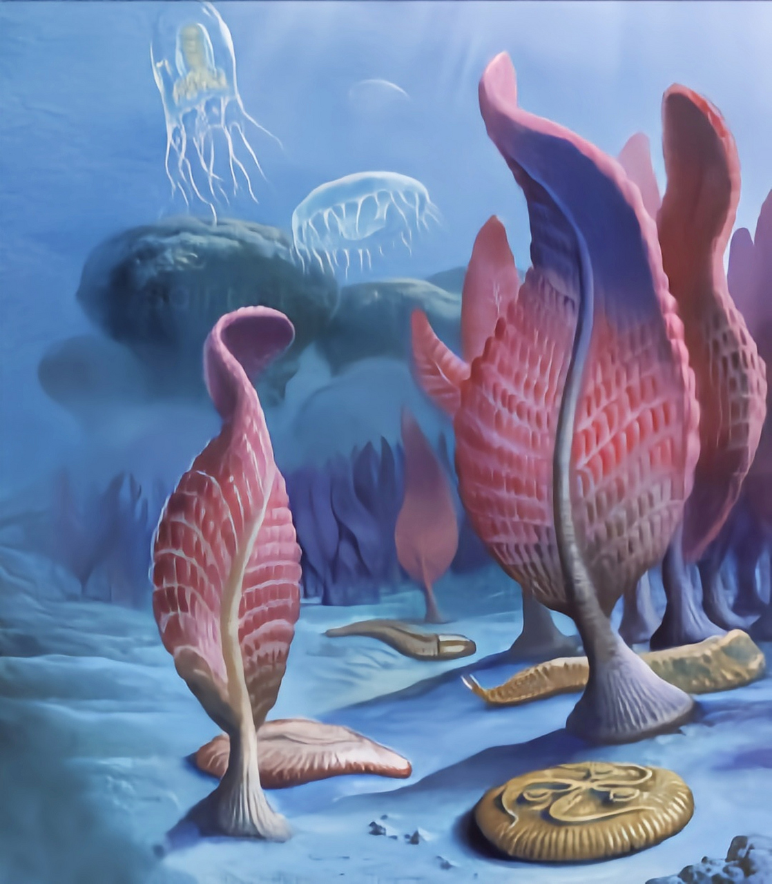 远古生物探秘——查恩盘虫 查恩盘虫生活在距今约6.3亿年前一约5.