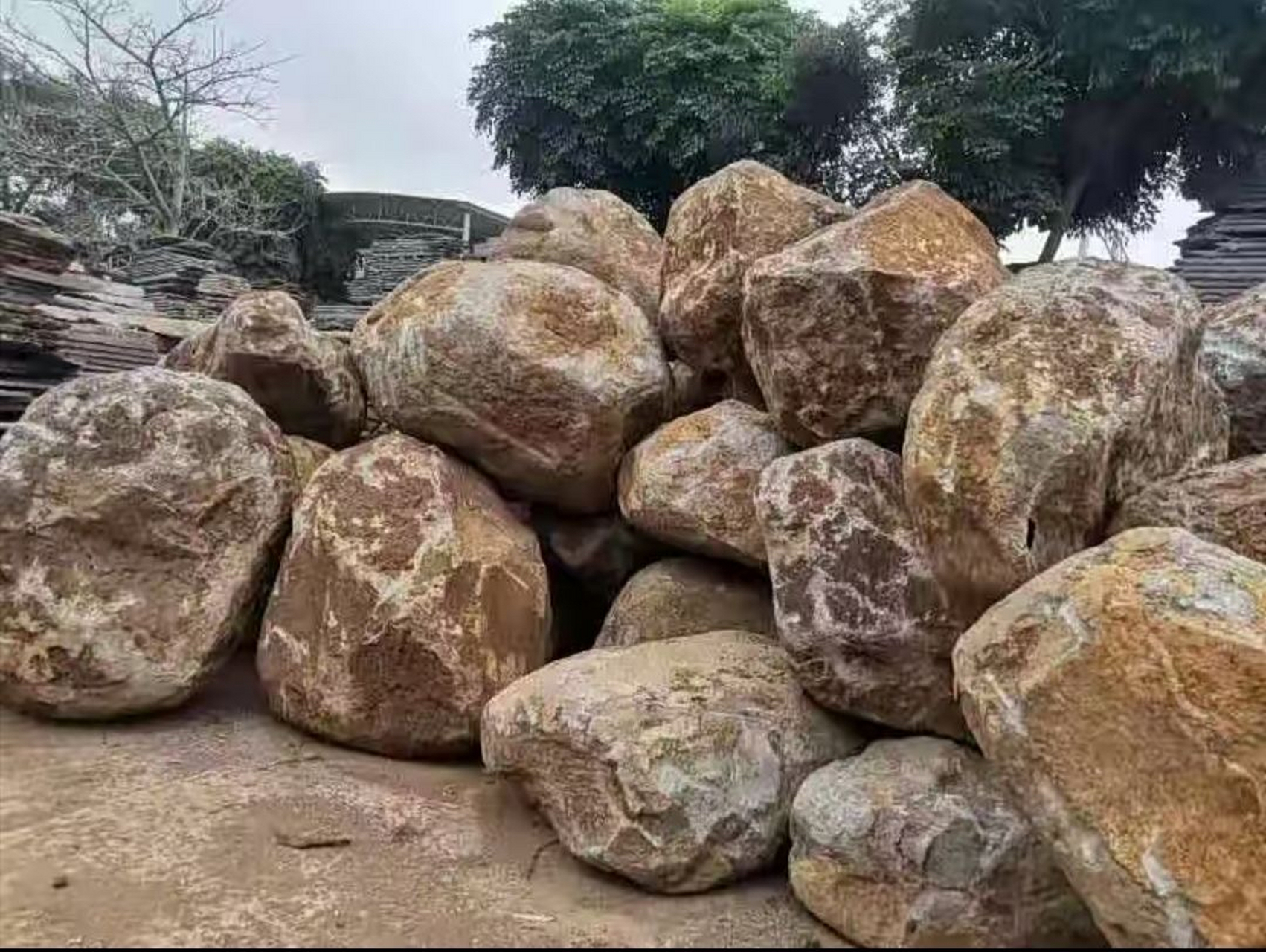 嚯,好家伙,这么大的话梅[滑稽]