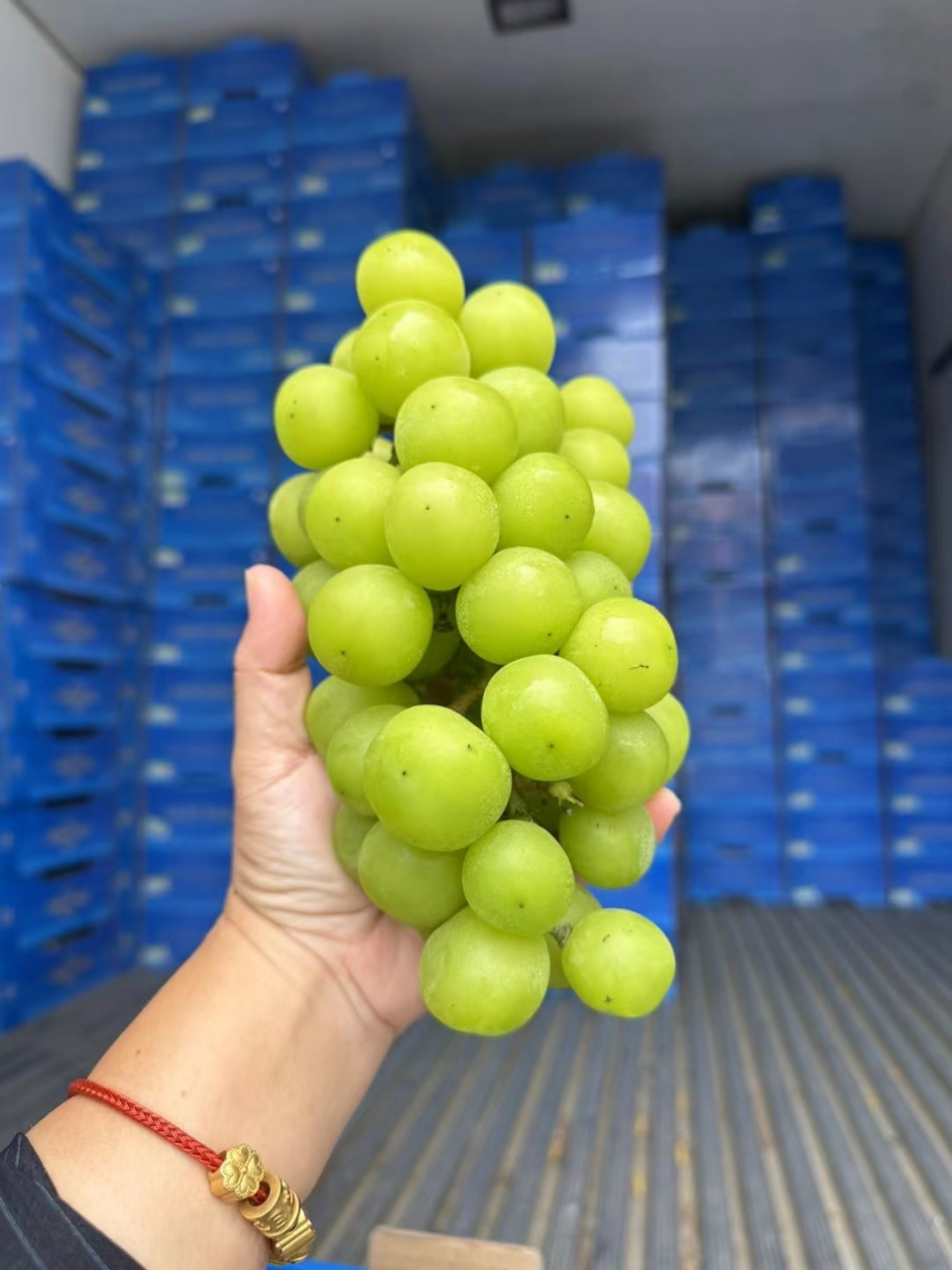 黄金香印 又香又甜 超级好吃