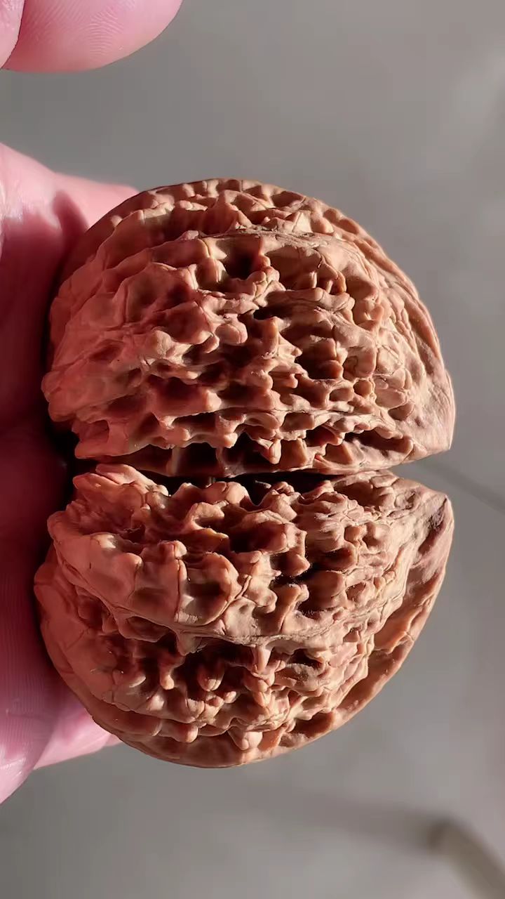 来盘核桃啦!《珠联璧合-麒麟纹狮子头》 尺寸72 自然光下拍摄-度小视