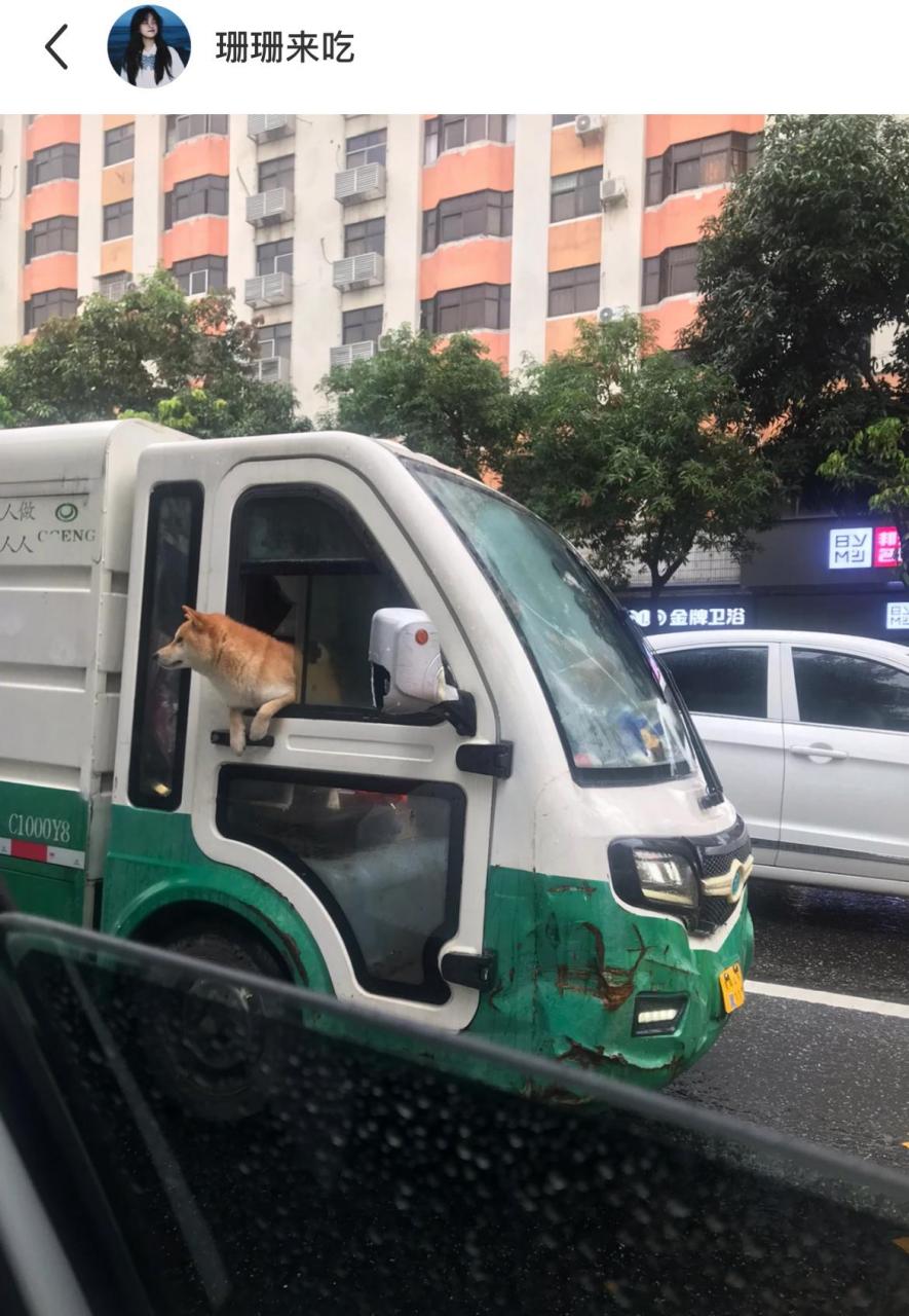 路过的时候忍不住啧啧啧[左捂脸]