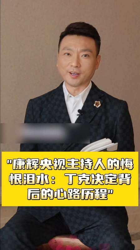 康辉央视主持人的悔恨泪水丁克决定背后的心路历程