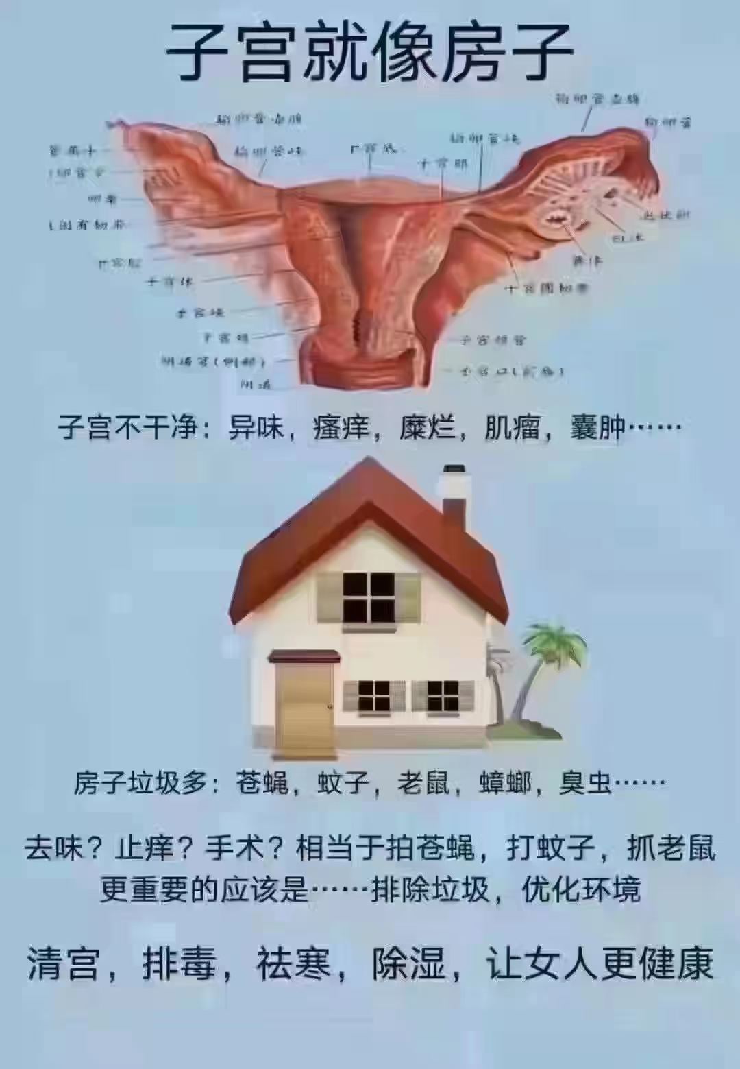 女人的秘密花园