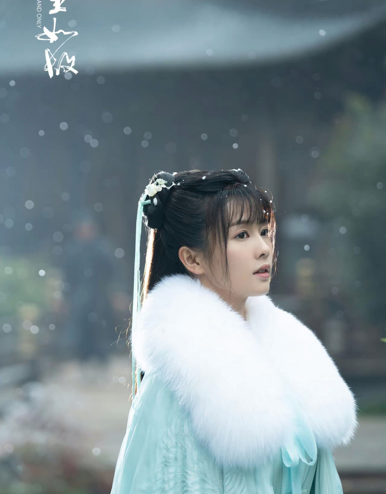 任嘉伦白鹿同台飙演技,爱而不得,痛入骨髓的南辰王才是人间绝恋