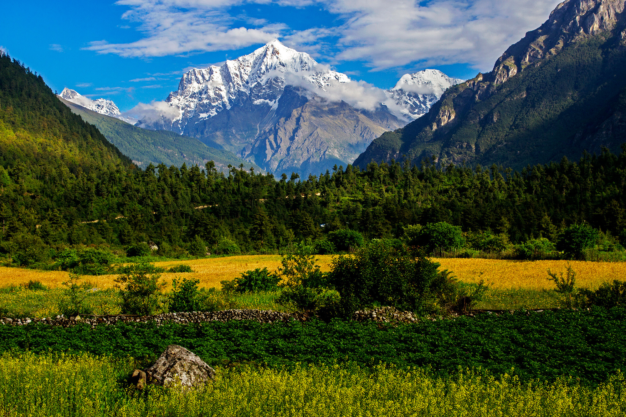 西藏吉隆沟:珠峰后花园