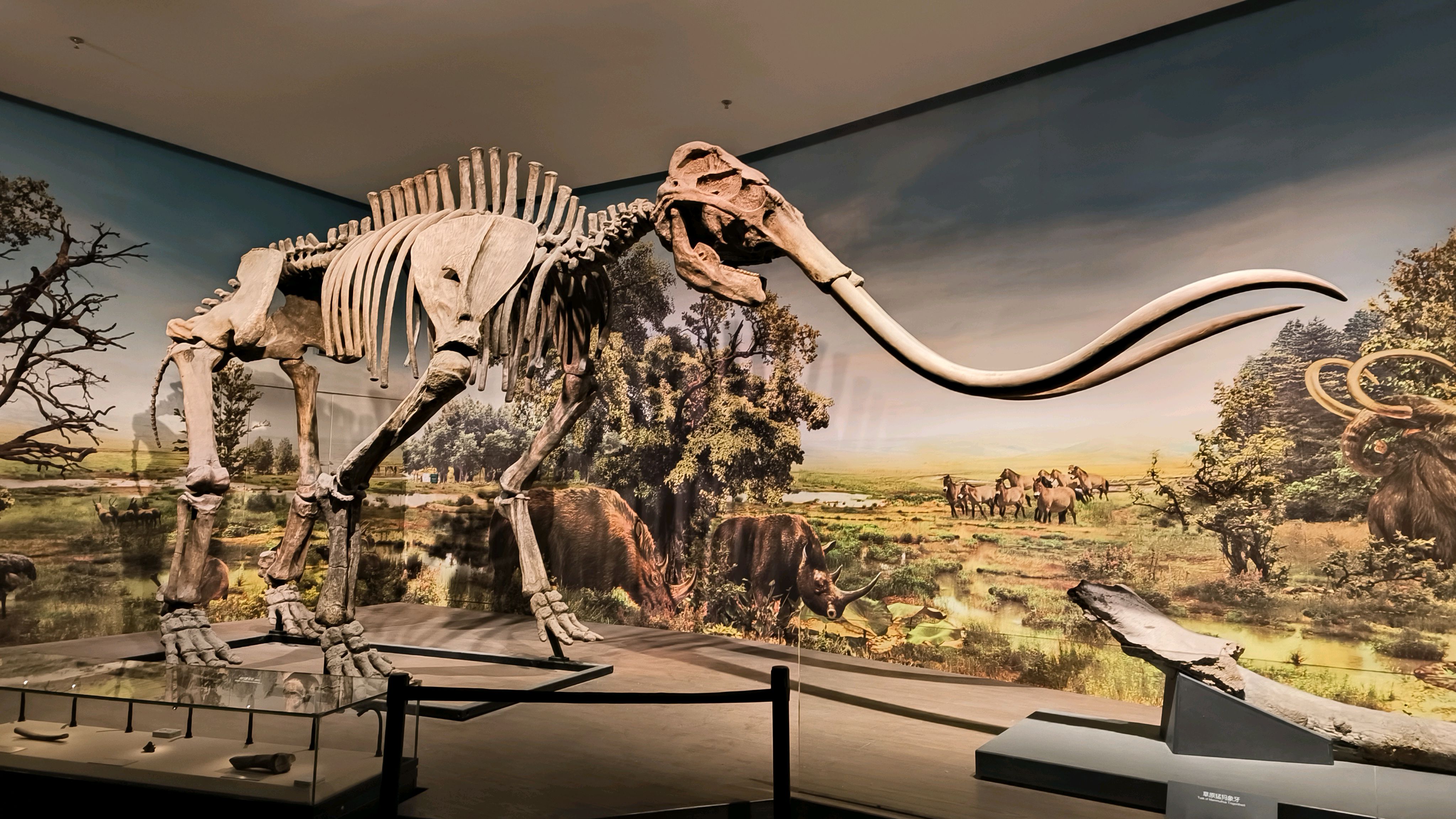 石家庄博物馆非常值得去看