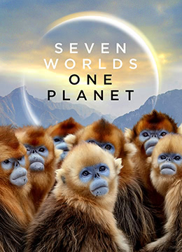 七个世界，一个星球[国语版]电影高清在线播放