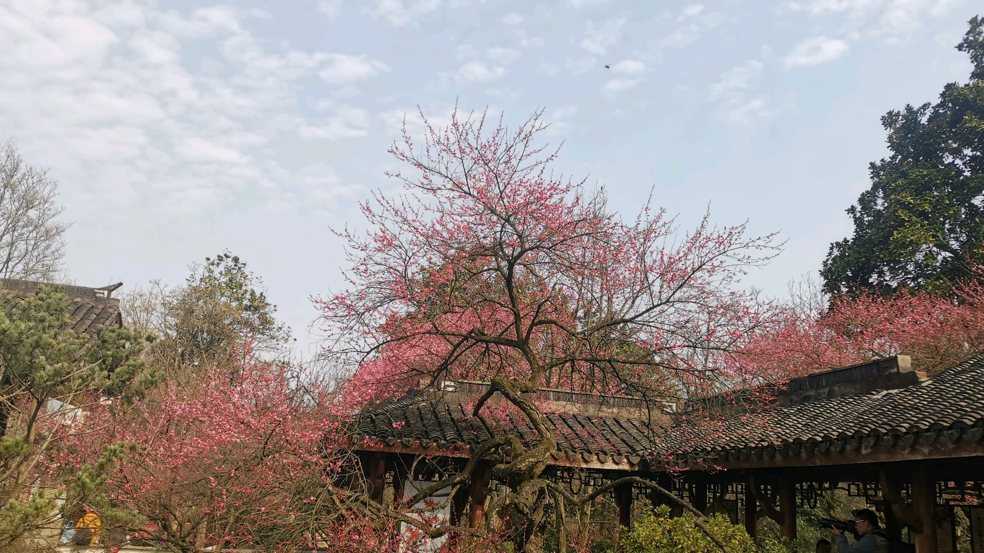 孔乙己的长衫是那个扭曲社会的显影布