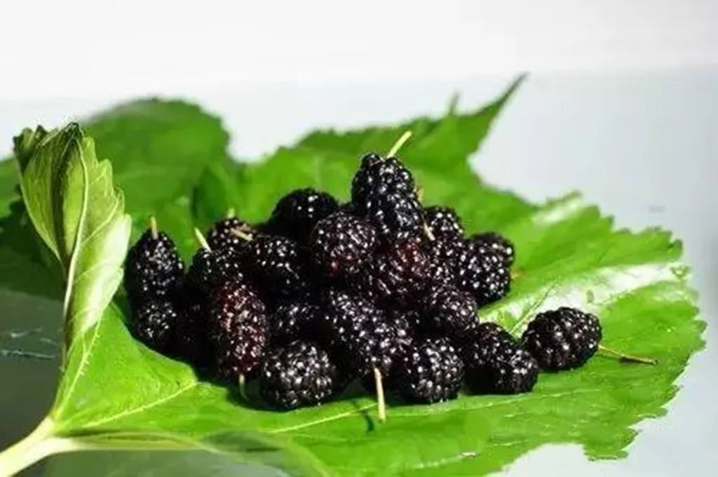 习俗不忘青梅煮,共盼丰年福祉长.《芒种》律诗25首