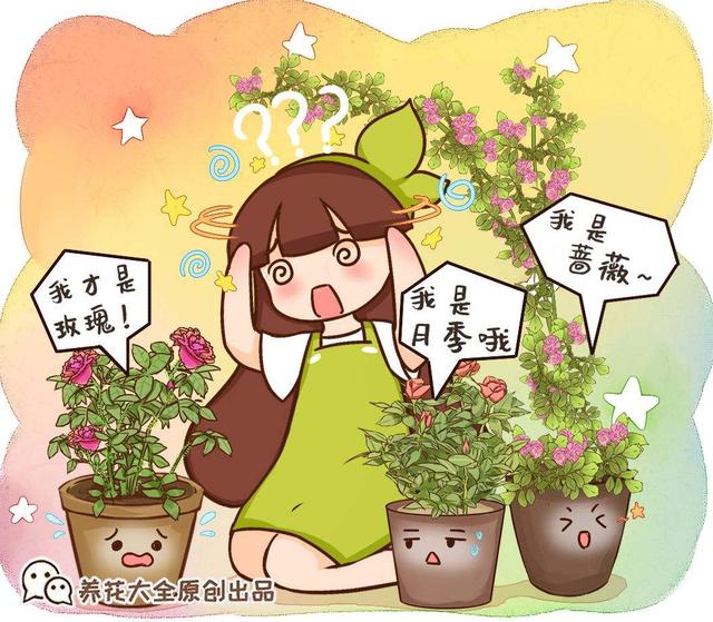 蔷薇-蔷薇【漫画免费版】:(全文阅读)-蔷薇漫画最新章节列表免费-蔷薇漫画