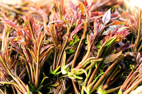 春天来了,江西这几种野菜比肉还好吃!