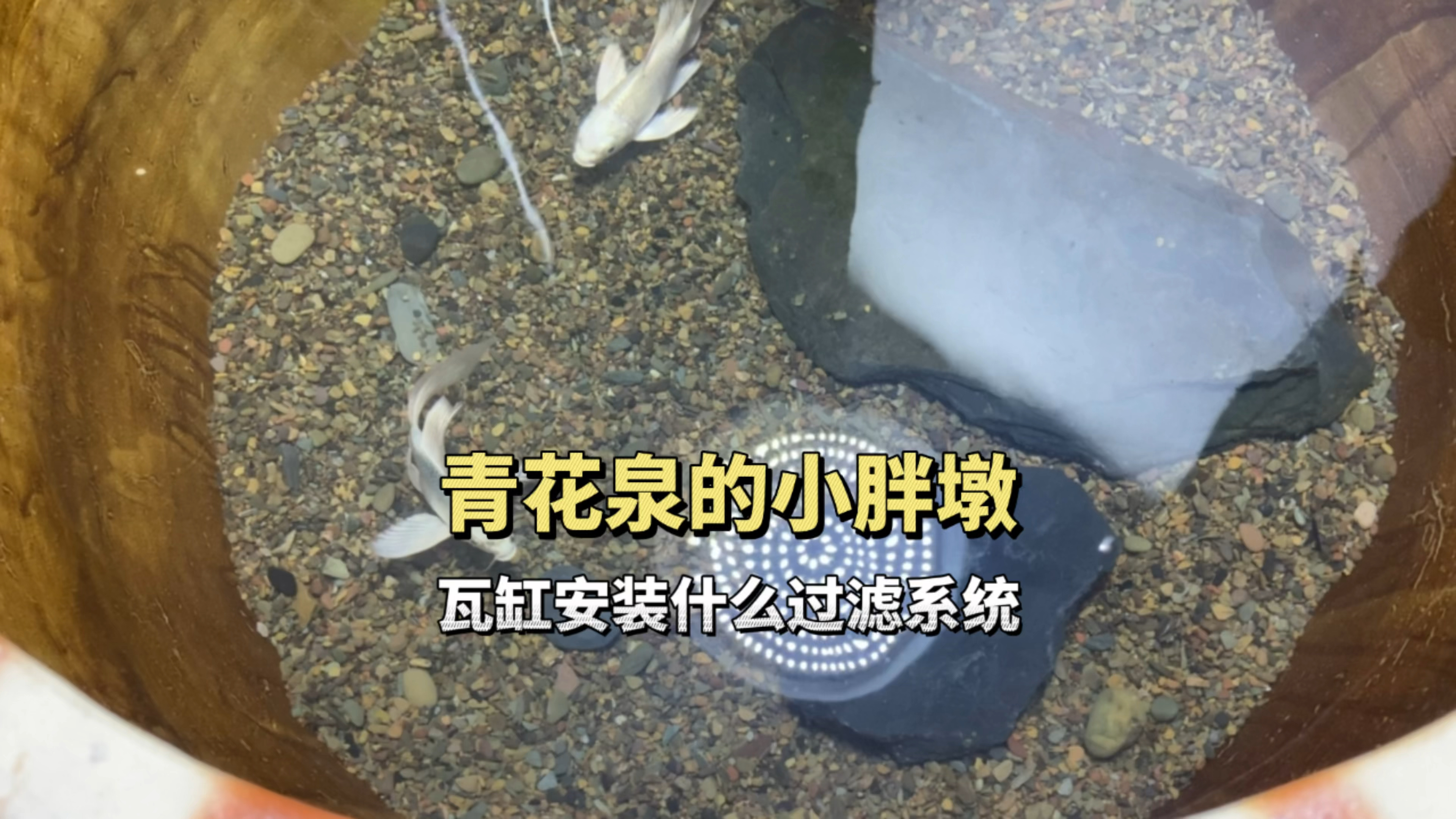 瓦缸养鱼搭配什么过滤系统合适呢?这个过滤还挺新奇