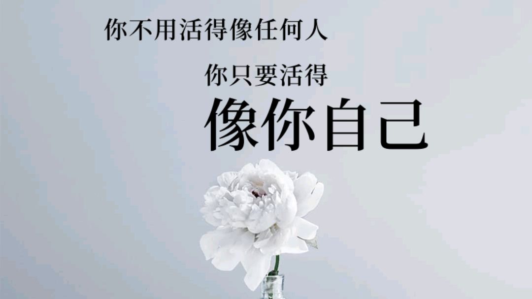 你生来一无所有,何惧从头再来