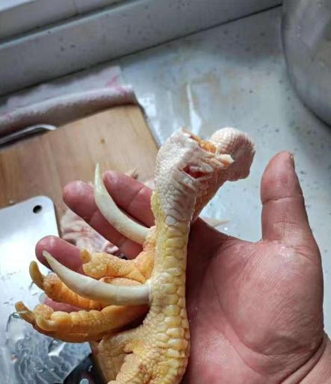 看这鸡爪子,这鸡怕不是成了精吧