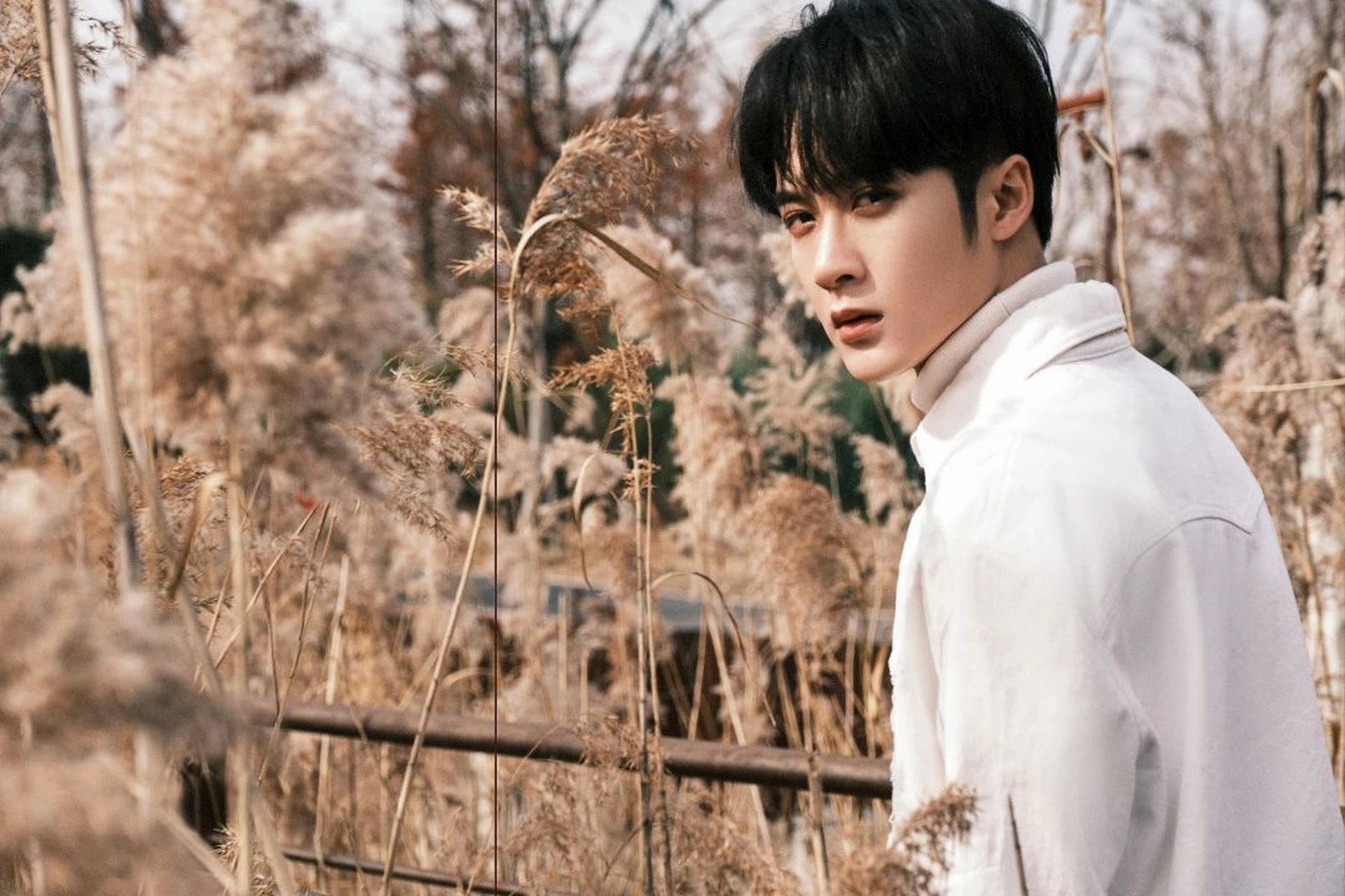 檀健次# 最近好喜欢他,看了长相思之后只喜欢夭柳组合.