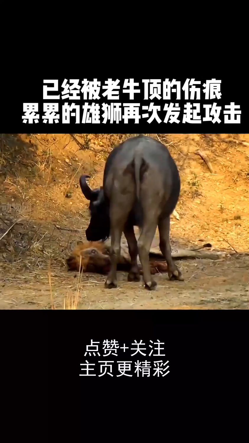 攻击手机(攻击手机热点)