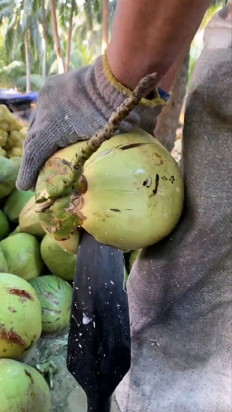 纯手工剥椰子皮