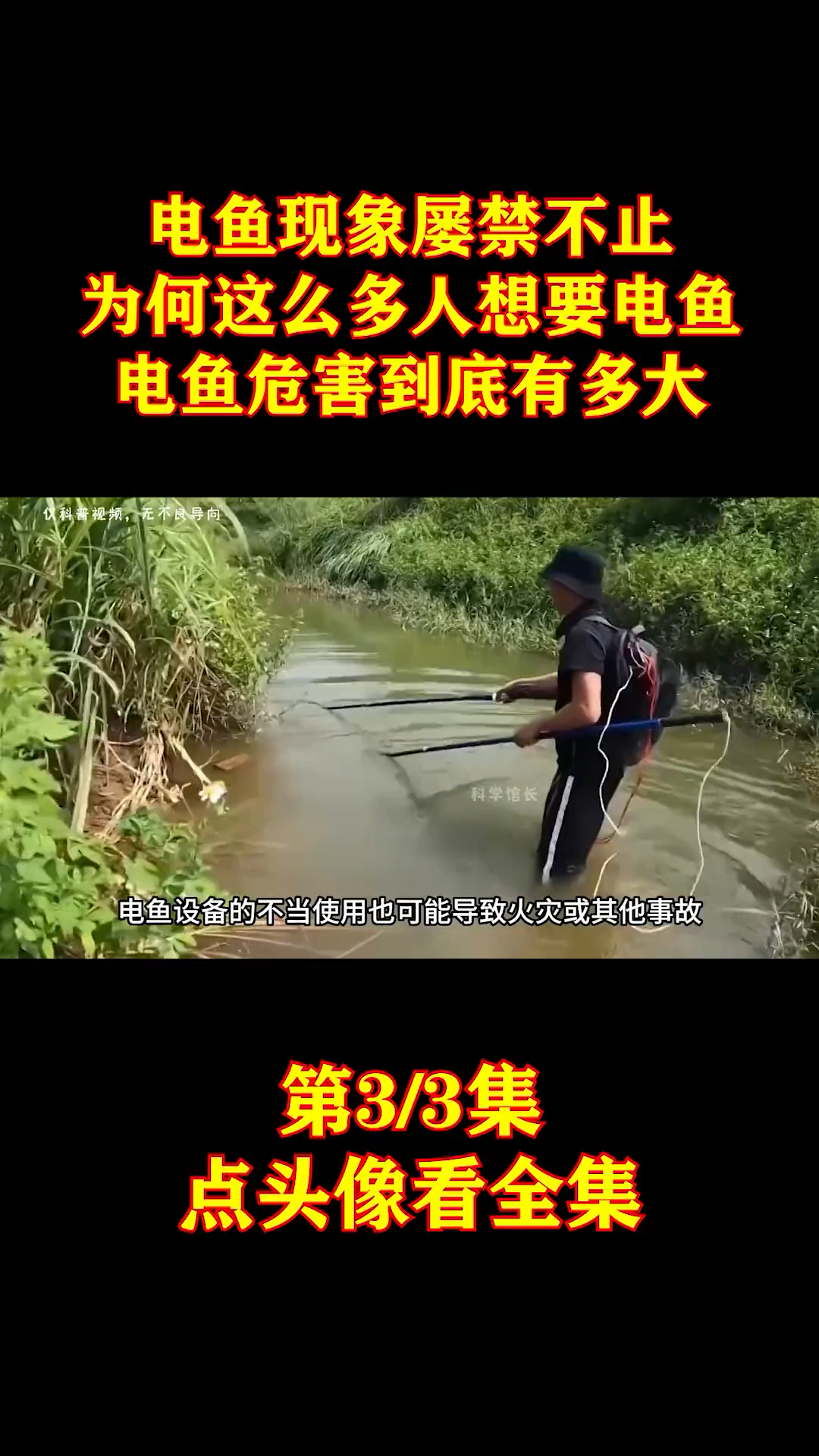 为什么不让电鱼了