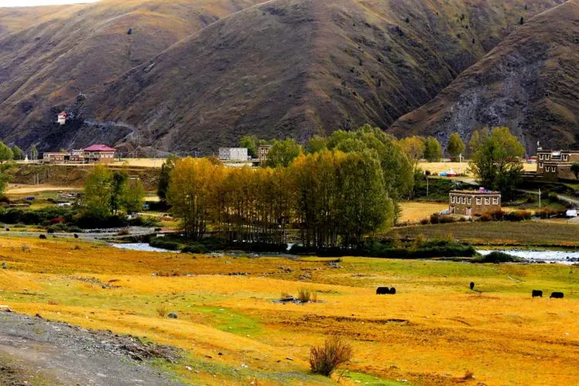 四川新都桥,被誉为"摄影家的天堂",这里有着绝美的风景和独特的文化.