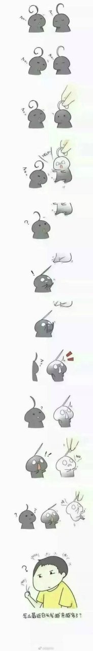 漫画# 为什么说白头发越拔越多? 哈哈好萌