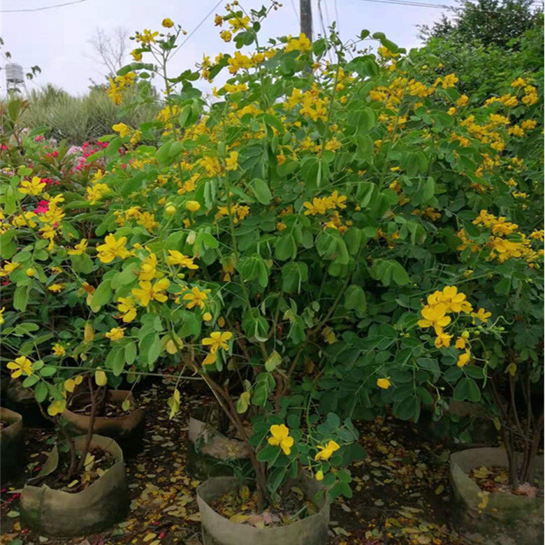 气温回升,小心蛇出没