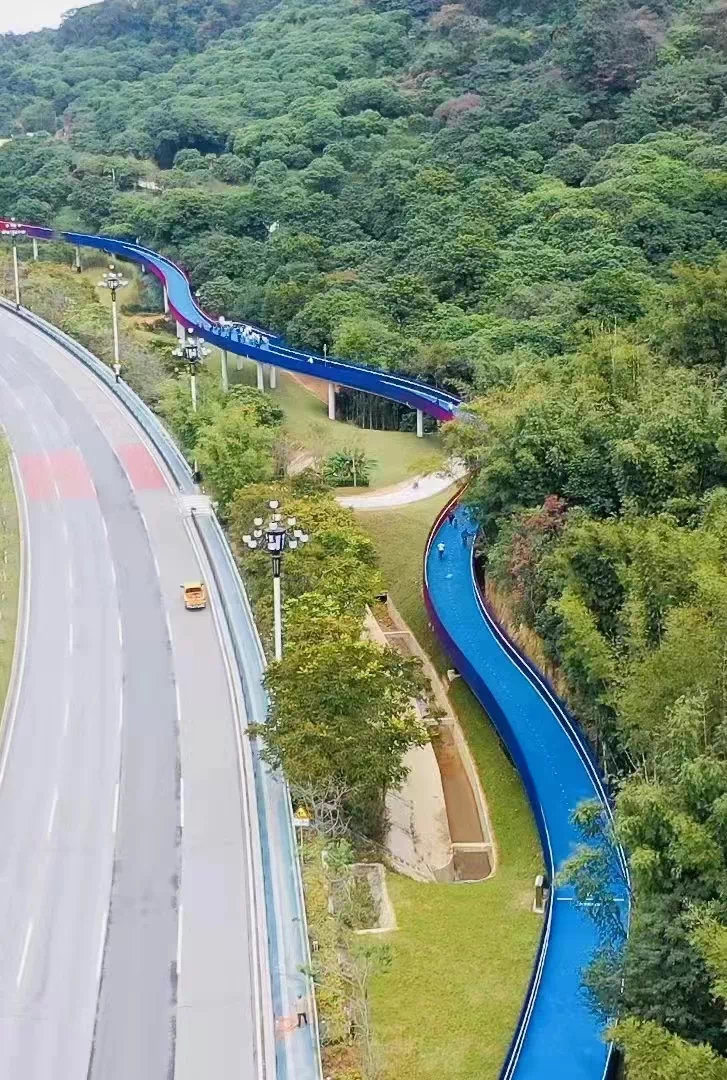 黄埔"区灯"——中华灯,你见过吗?