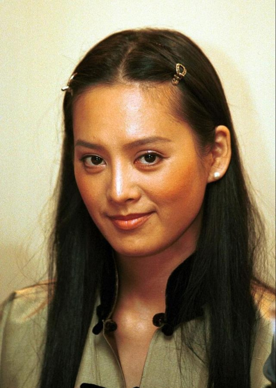 宁静 中国影视女演员歌手国家一级演员(一)