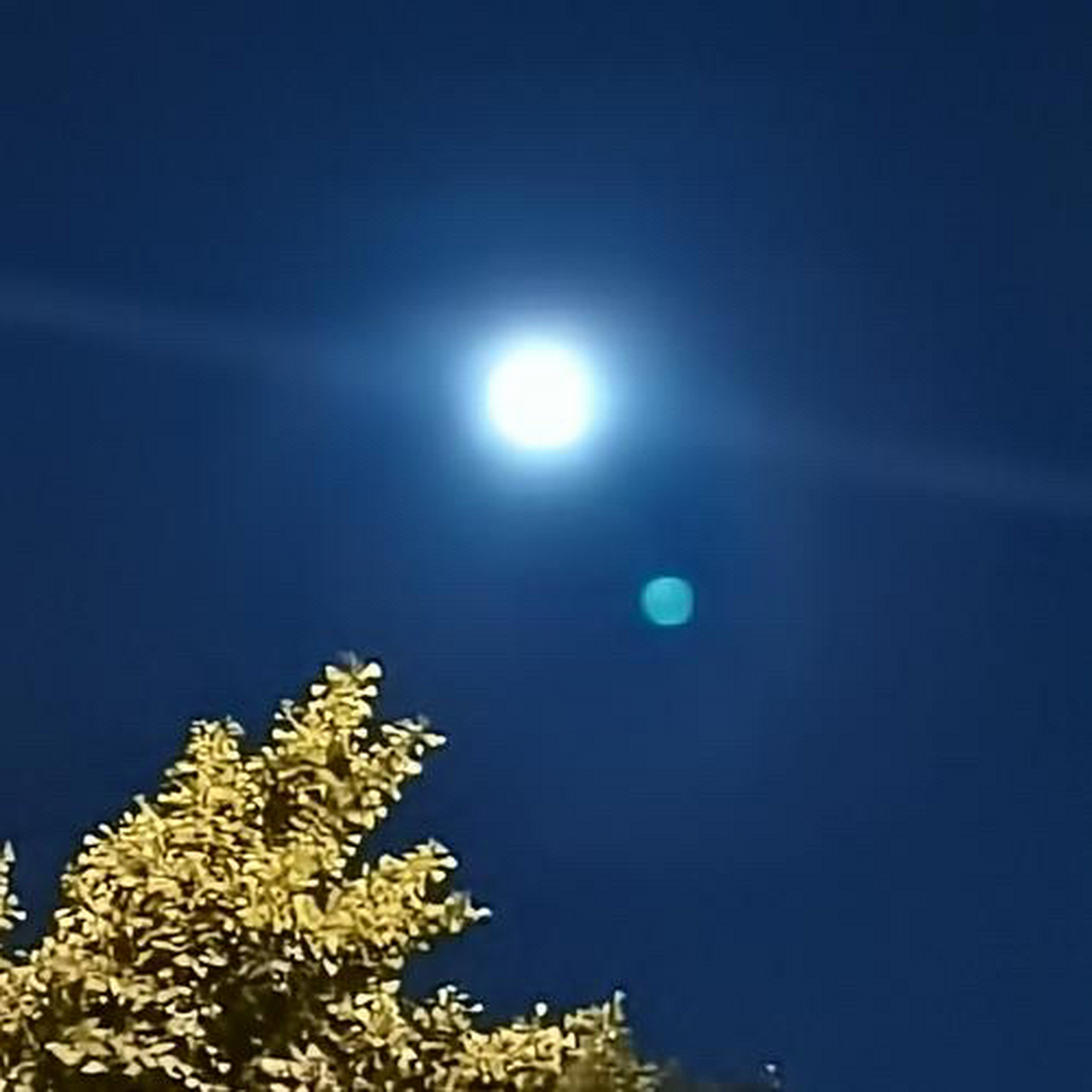 不知道从哪一年起,对时序变换习以为常,对节日来临波澜不惊.