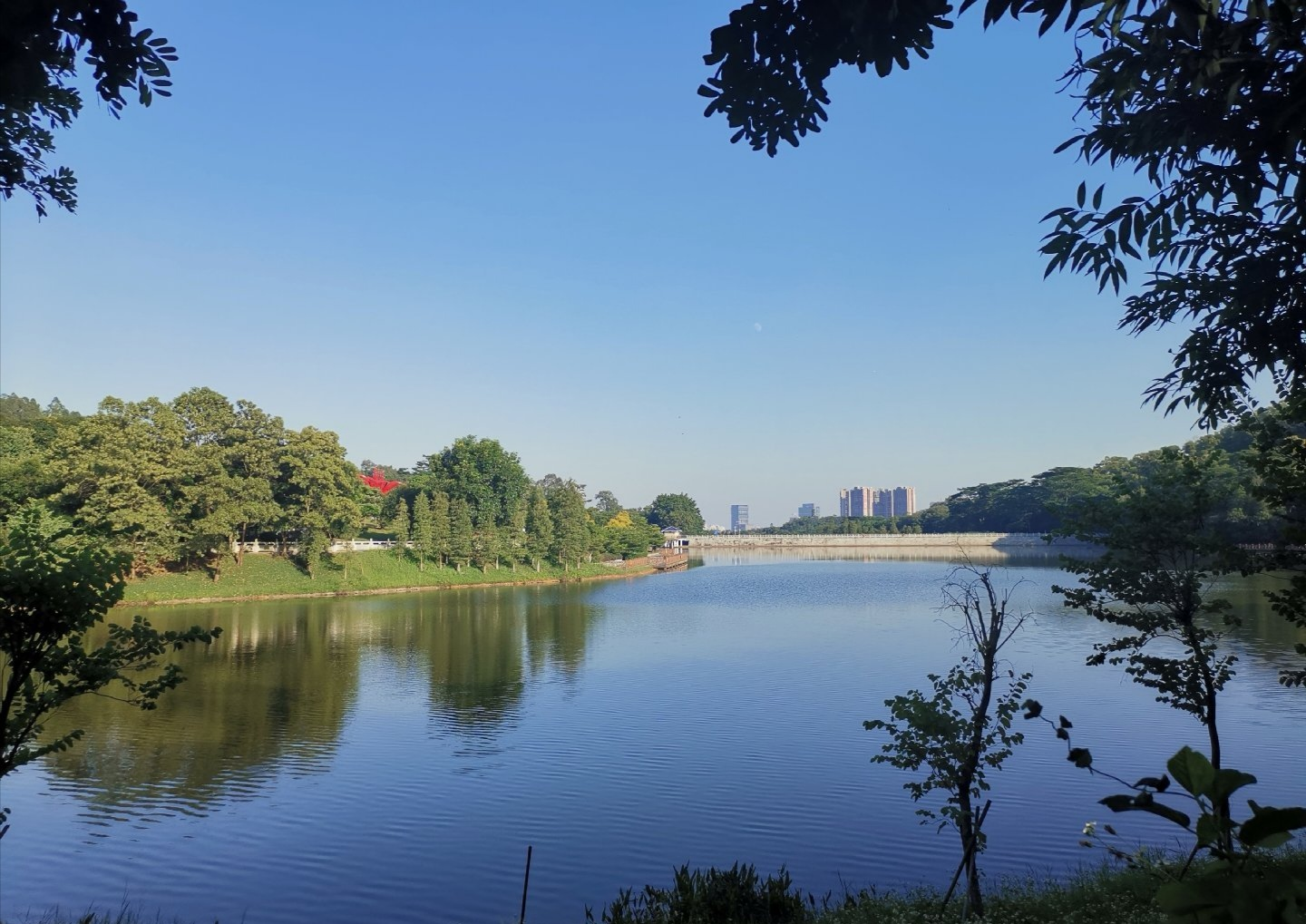 廣州大夫山森林公園旅遊攻略