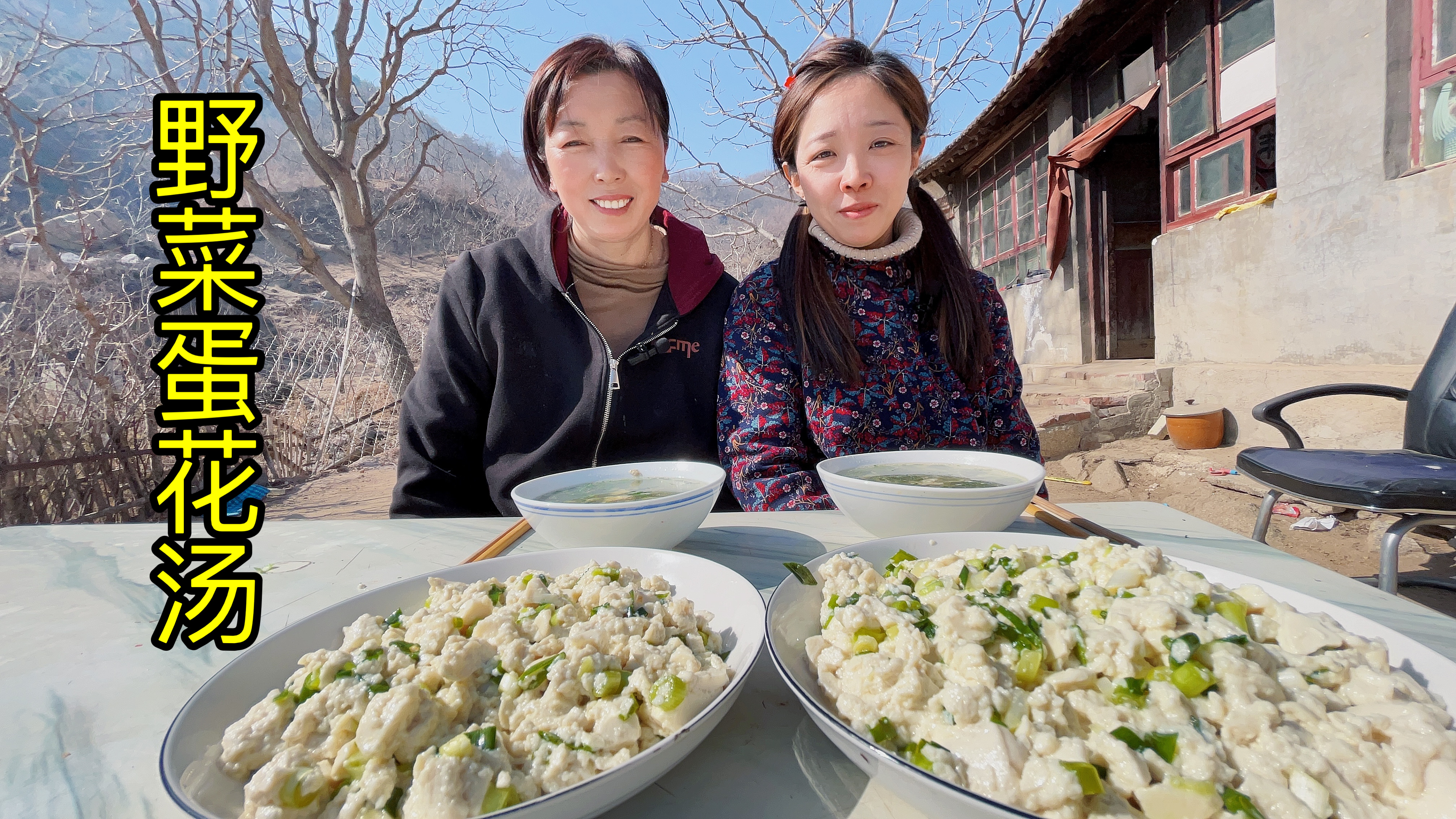 山里薅一把野菜婆媳俩做野菜蛋花汤和小葱拌豆腐吃,清淡可口