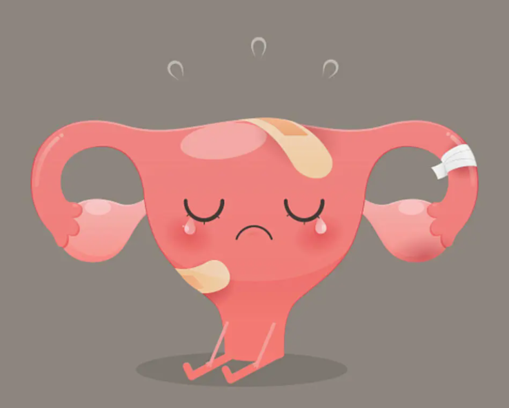 女性绝经前的症状有哪些?绝经后,需要注意3件事