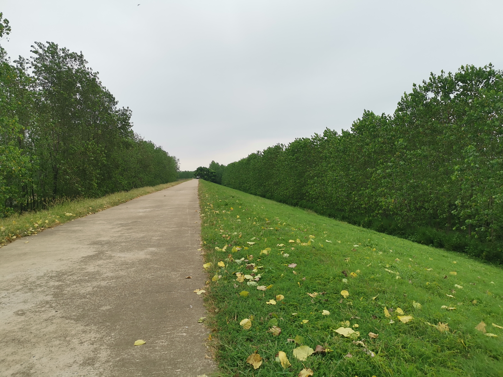 骑行仙桃东荆河大堤,渡口坐船,挺有趣的!