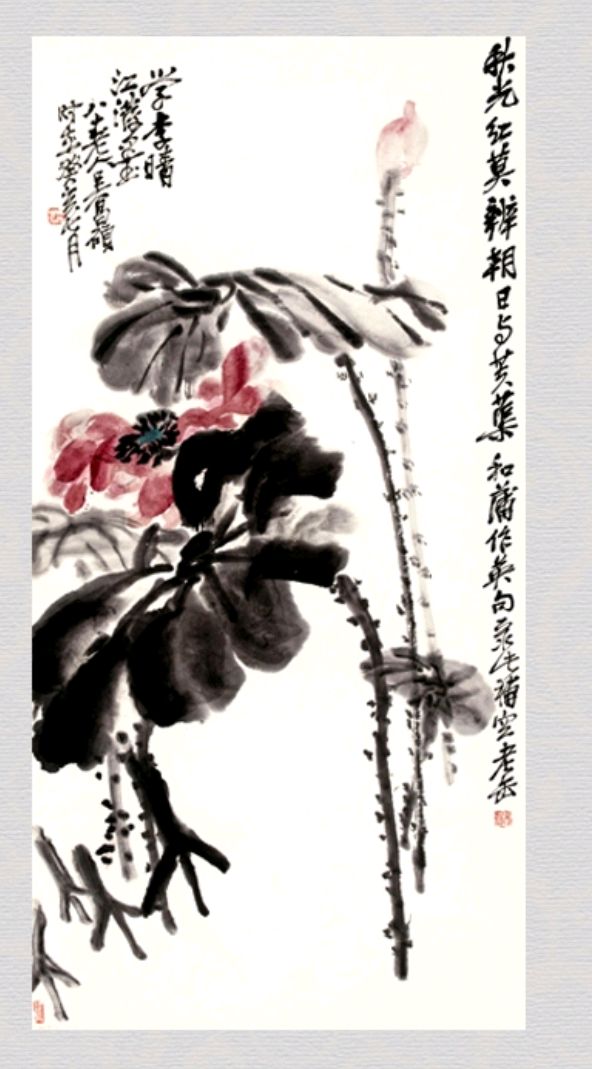 028.吴昌硕四幅图,其它的几幅荷花图,喜欢的来解答下问题