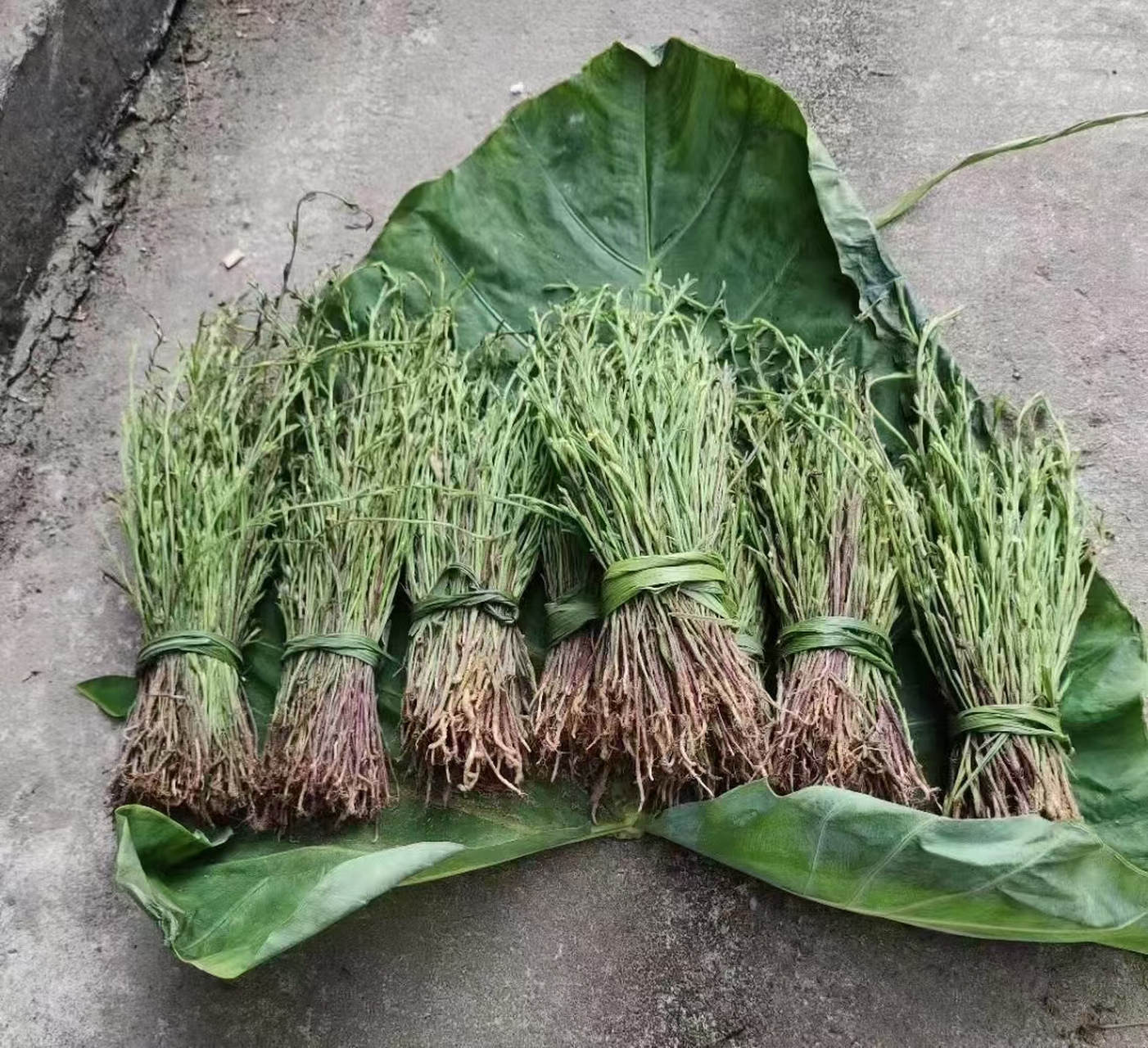 "未觉池塘春草梦,阶前梧叶已秋声." 过完今天,2023年只剩100天了.