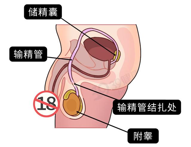 女人和男人做那个