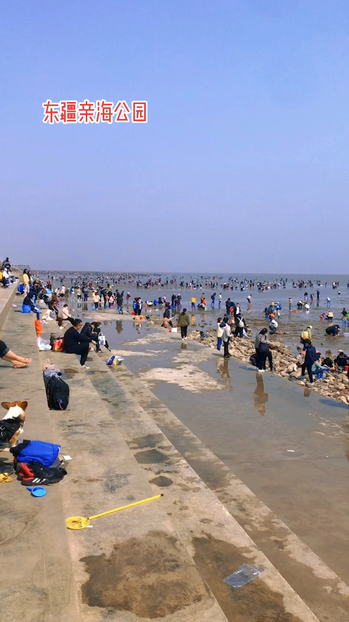 好久没见过这么多人了东疆亲海公园赶海人山人海啊