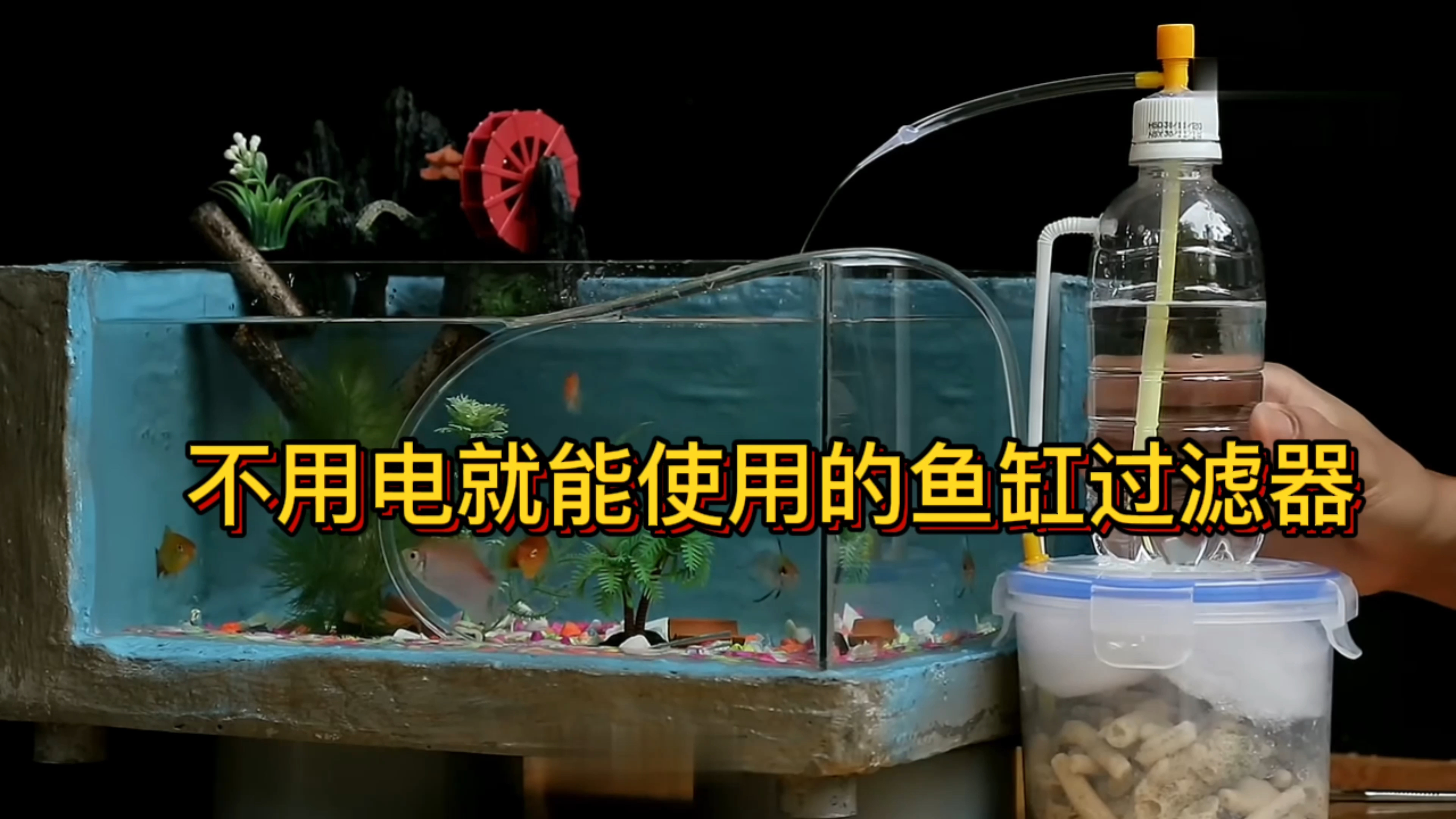 用塑料瓶就能制出不用电的鱼缸过滤器