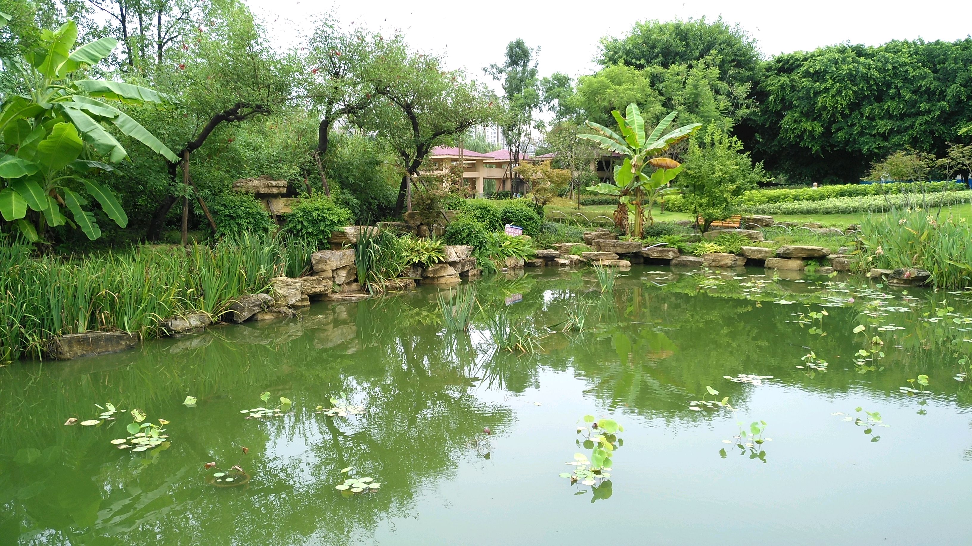 四川内江风景图片图片