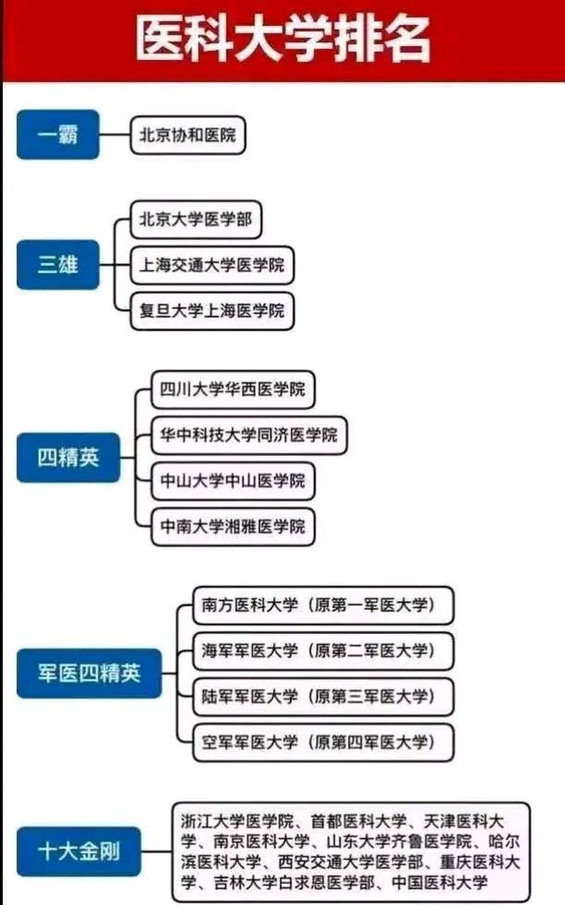 上海高校金字塔图图片