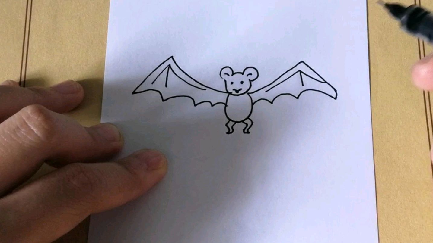 (简笔画)一只可爱的小蝙蝠