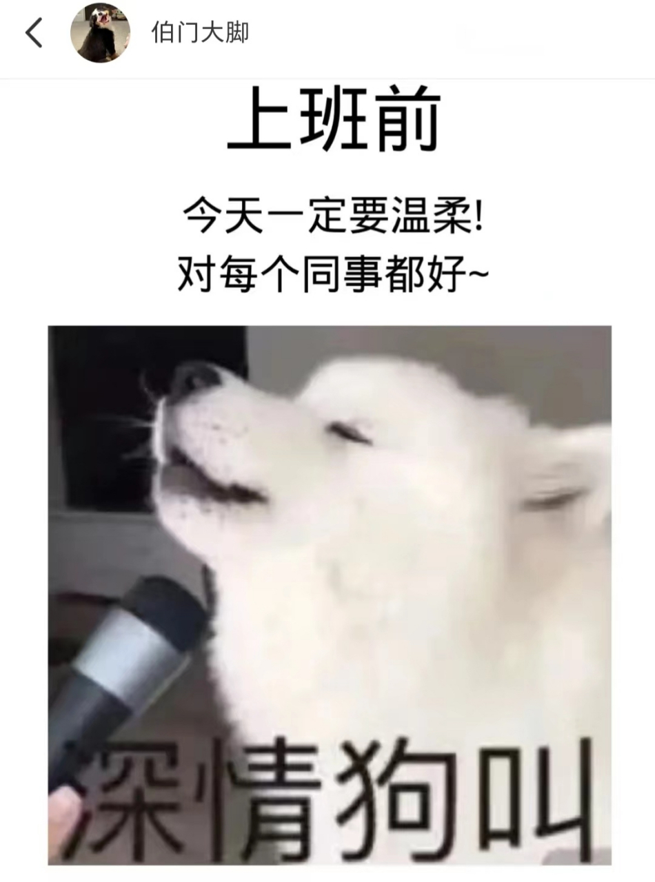 上班前 vs 上班后(狗狗版)